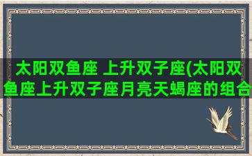 太阳双鱼座 上升双子座(太阳双鱼座上升双子座月亮天蝎座的组合性格)